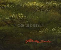 Pankotai Sándor (1959-): Hazafelé. Olaj, farost, jelzett. Dekoratív fakeretben. 50×70 cm