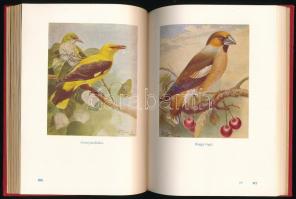 Dr. Vertse Albert: A kert madárvilága. Dr. Csörgey Titusz, Vezényi Elemér és Nécsey István festménye...