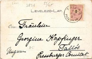 1899 (Vorläufer) Cegléd, Gr. Kreith-féle Kossuth múzeum részlete, belső (kopott sarkak / worn corner...