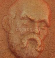 Zajácz Tamás (1952- ): Szókrátész. Bőr dombormű, fali dísz. Falra akasztható. Hátoldalán jelzett, bé...