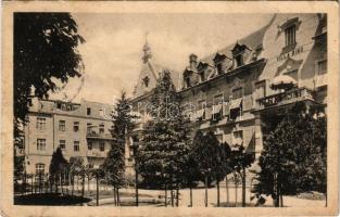 Trencsénteplic-fürdő, Kúpele Trencianske Teplice; Villa Bing (fa)