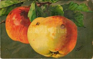 Still life art postcard. Wenau-Pastell No. 338. s: C. Klein (EK)