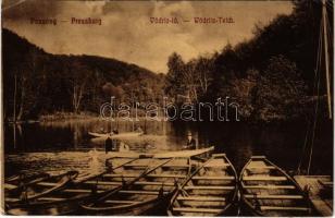 Pozsony, Pressburg, Bratislava; Vödric tó / Wödritz Teich / Vydrica lake (r)