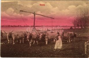 1912 Gulya itatása, magyar folklór / Hungarian folklore