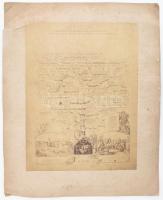 cca 1870 Az Erdődy (Erdődi) család (monyorókeréki és monoszlói) családfája. nagy méretű fotó 26x32 cm Beszakadásokkal