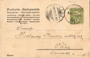 1905 Szerelmespár / couple in love (fa)