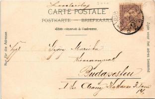 1901 Purple flowers, litho s: E. Vouga (?) (fl)