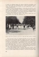 Hiller István: 
A soproni egyetemi hallgatók mozgalmai a két világháború között. (Fejezetek a Sopro...
