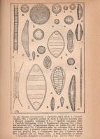 Entz Géza - Sebestyén Olga: A Balaton élete. 44 táblával és 67 szövegképpel. Budapest, 1942. Királyi...