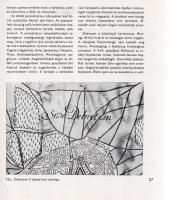 Eperjessy Kálmán: 
Városaink múltja és jelene. (Dedikált.)
Budapest, 1971. Műszaki Könyvkiadó (Sze...