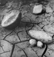 G. Szántó András (1937-2002): Szikkadt föld. Fotó, papír, kartonon, hátoldalán pecséttel jelzett, 29x27 cm