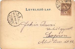 1901 Budapesti Torna Club (BTC), magyar focisták, futball / Hungarian football players (EK)