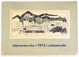 MIercurea - Ciuc - Csíkszereda 1972. Csíkszereda - 1972., Hargita Megye Szocialista Művelődési és Nevelési Bizottsága - Csíkszereda Város Néptanácsa - Csíkszeredai Múzeum, 19 t. Az 1 t. a borító grafikája [Gaál András.] Gaál András, Kovács Dénes, Márton Árpád, Mérey András, Moldovan Horea, Sövér Elek. Kiadói papír mappa, kopott borítóval. Megjelent 1000+50 példányban. 21x30 cm.