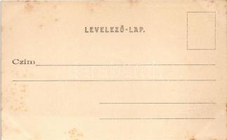 Budapest V. Kossuth Lajos utca, üzletek, Sternberg zongora, harmónium és cimbalom termek, zenekonzer...