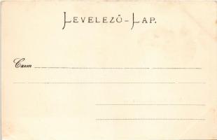 Budapest VI. Nyugati pályaudvar, vasútállomás, villamos. Stengel (fa)