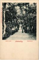 Budapest II. Hűvösvölgy, erdő részlet. Divald Károly 381. sz.