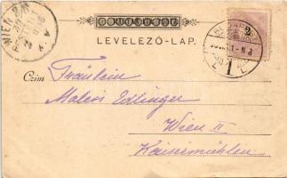 1898 (Vorläufer) Budapest, Lánchíd budai hídfő (ázott / wet damage)