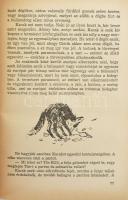 Fekete István: Lutra. Egy vidra regénye. Szilvássy Nándor rajzaival. Bp., 1955, Ifjúsági Könyvkiadó....