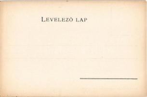 Esztergom vármegye térképe. Kiadja Károlyi Gy