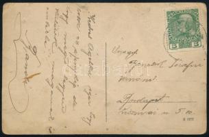 cca 1915 Katonafotó bajonettel, Mozgósítási Kereszt kitüntetéssel és ügyességi jelvénnyel, megírt fo...