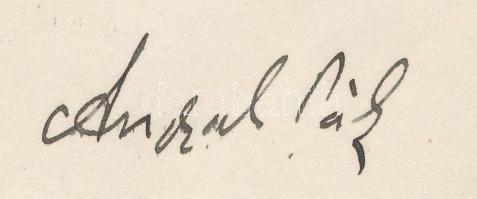 Síkabonyi Angyal Pál (1873-1949) büntetőjogász, egyetemi tanár, a Magyar Tudományos Akadémia tagja a...