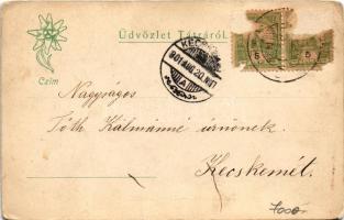 1901 Tátralomnic, Tatranská Lomnica (Magas Tátra, Vysoké Tatry); (Rb)