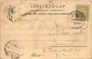 1904 Újtátrafüred, Neu-Schmecks, Novy Smokovec (Magas-Tátra, Vysoké Tatry); Kávéház és vendéglő. Fei...
