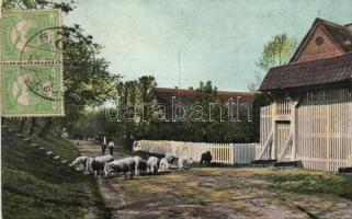 Hungarian village with herd