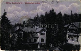 1918 Lucsivna, Lautschburg, Lucivná (Magas-Tátra, Vysoké Tatry); Feitzinger Ede No. 401. 1918. (EB)