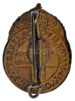 ~1910-1920. "Magyar Vöröskereszt Ifjúsági Osztálya" zománcozott bronz jelvény (24x19mm) T:...