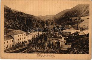 1916 Vihnyefürdő, Kúpele Vyhne; (EK)