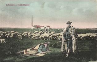 Hortobágy juhászok