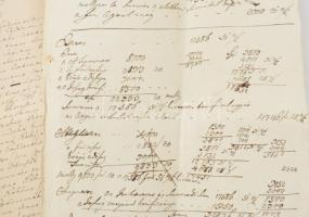 1789. júl. 25. Beregszász (ma Ukrajna, Beregove)
Kovács István és Ferenc nemességbizonyító perének ...