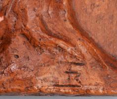 Dudás. Jelzett mázas kerámia plakett, lepattanással, 29,5x14 cm