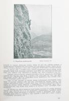 1917-1918 Turistaság és Alpinizmus. A Magyar Turista Szövetség és a Magyar Sí Szövetség, a Magyarors...