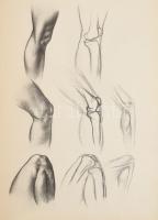 Barcsay Jenő: Művészeti anatómia. Bp.,1953, Művelt Nép Könyvkiadó. Első kiadás. DEDIKÁLT PÉLDÁNY Kia...