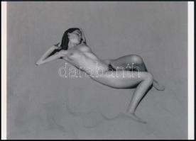 cca 1936 Edward Weston (1886-1958) amerikai fotóművész felvétele (Virágszál a homokdűnén, szolidan erotikus felvétel, 1 db modern nagyítás, jelzés nélkül, 15x21 cm