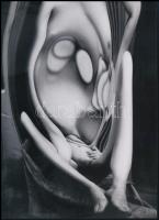 1933 Kertész Andor (később André Kertész) (1894-1985) magyar (később francia majd amerikai) fotóművé...