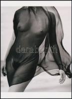 cca 1972 ,,Fátyolos hangulatban", szolidan erotikus felvétel, 1 db modern nagyítás, jelzés nélkül, 21x15 cm