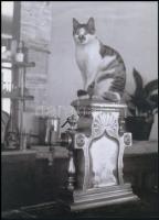 cca 1944 Brassai (eredetileg Halász Gyula) (1899-1984) magyar - francia fotóművész felvétele (A kocsma kedvenc csaposa), a néhai FOTÓ újság (1954-1989) archívumából 1 db modern nagyítás, jelzés nélkül, 21x15 cm