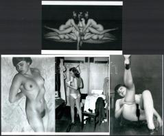 Szolidan erotikus felvételek, különféle szerzőktől, 4 db modern nagyítás, jelzés nélkül, 15x10 cm