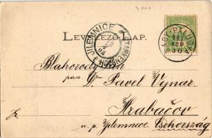 1903 Pónik, Pojnik; Znice v Ponikách (Zvolen). P. Sochán, Slovenské kroje 5. / Szlovák lányok Pónikr...