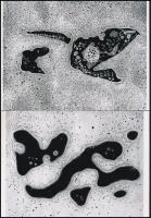 cca 1939 Heinz Hajek Halke (1898-1983) német experimentális fotóművész alkotásai (Szappanhabos szürr...