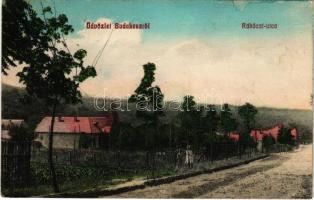 1912 Budakeszi, Rákóczi utca, (fl)