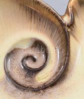 Kagyló alakú iparművész kínáló, jelzés nélkül, 28x26 cm