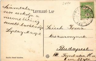 Dunaújváros, Dunapentele, Sztálinváros; Duna részlet. Kanitz József kiadása + "PAKS-SZÉKES-FEJÉ...