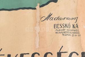 Madarassy Erzsébet: "Enélkül Európának nincs békessége", 1920. Irredenta plakát, kiadja Ma...