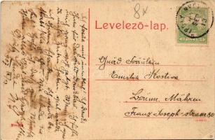 1907 Balassagyarmat, Villa sor. No. 975. (W. L. ?) (fa)