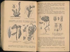 Szuhács János, Pénzes Antal: Mezőgazdasági és ipari ismeretek. IV. köt.: Szőlőmívelés, erdőkezelés é...