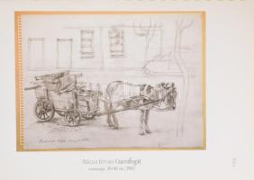 Kissné Balla Krisztina, Kiss Endre, Kiss Tamás, Egri Sándor (szerk.): Az Úr lova.
Csacsi-titkok, av...